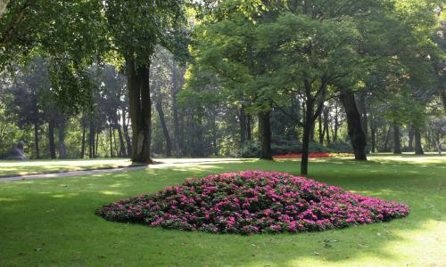 Blühende Blumen in einem Rondell im Jungbornpark Moers-Repelen