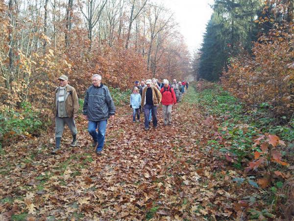 Eine Gruppe wandert im Herbst durch einen Wald.