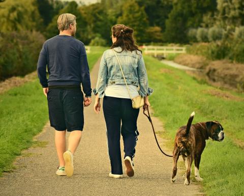 Eine Frau und ein Mann gehen einen Feldweg entlang und haben einen angeleinten Hund dabei.