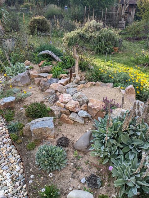 Blick auf einen Garten mit Pflanzen und Steinen