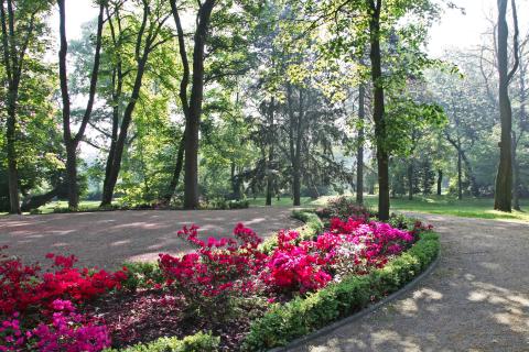 Der Schlosspark mit rosa und roten Blumen.